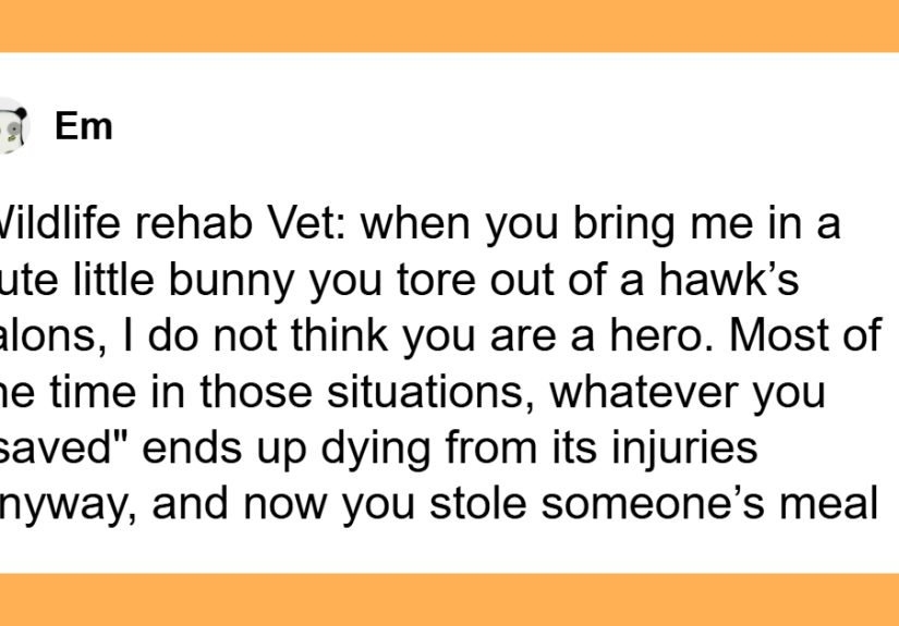 22 People Shared Unexpected Truths About Their Jobs, And They’re So Insightful