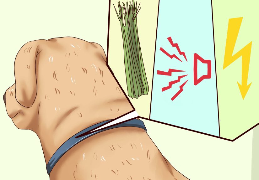 6 Ways to Get Dogs to Stop Barking