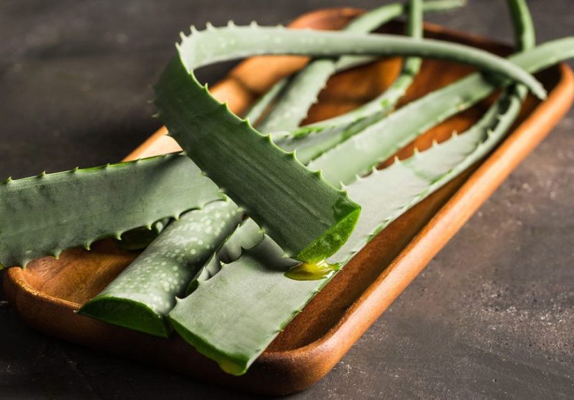 7 Amazing Uses for Aloe Vera