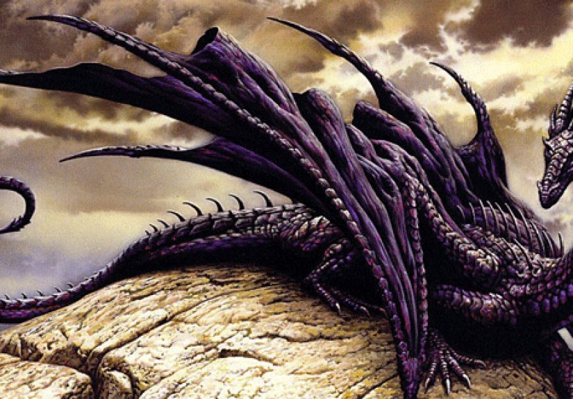 8 Types Of Dragons You Have Never Heard Of