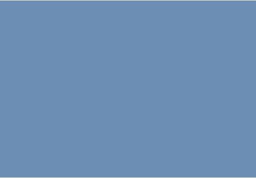 Blue Dragon 810 Paint