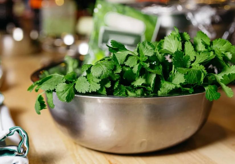 Can a Gene Cause Cilantro To Taste Like Soap?