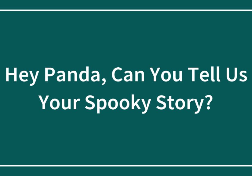 Hey Panda, Can You Tell Us Your Spooky Story?