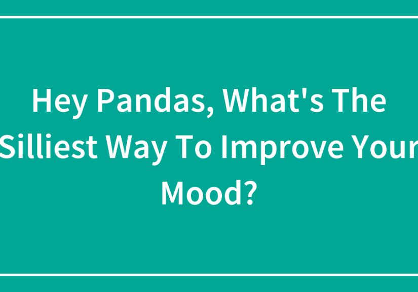 Hey Pandas, What’s The Silliest Way To Improve Your Mood?
