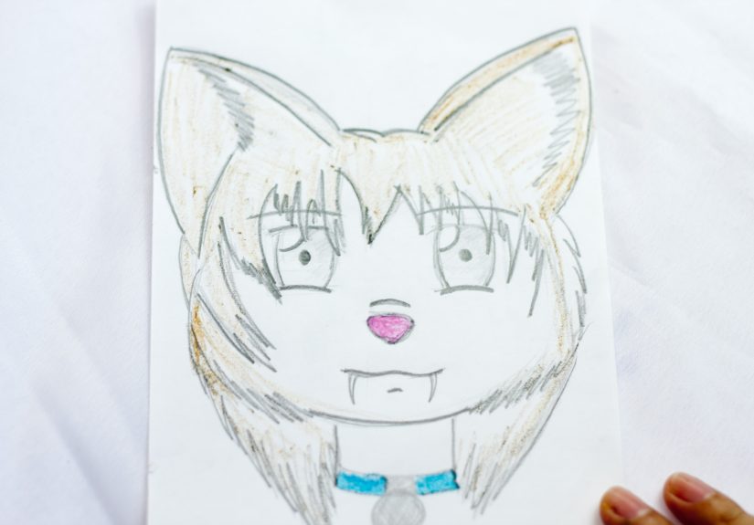 How to Draw a Furry's Head: 11 Steps