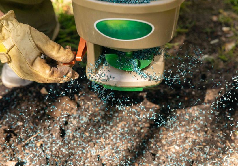 How to Plant Grass Seed on Hard Dirt and Get It to Grow