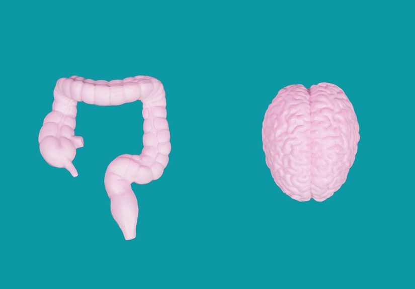 Schizophrenia and Stomach Problems: Connections, Treatment, and More