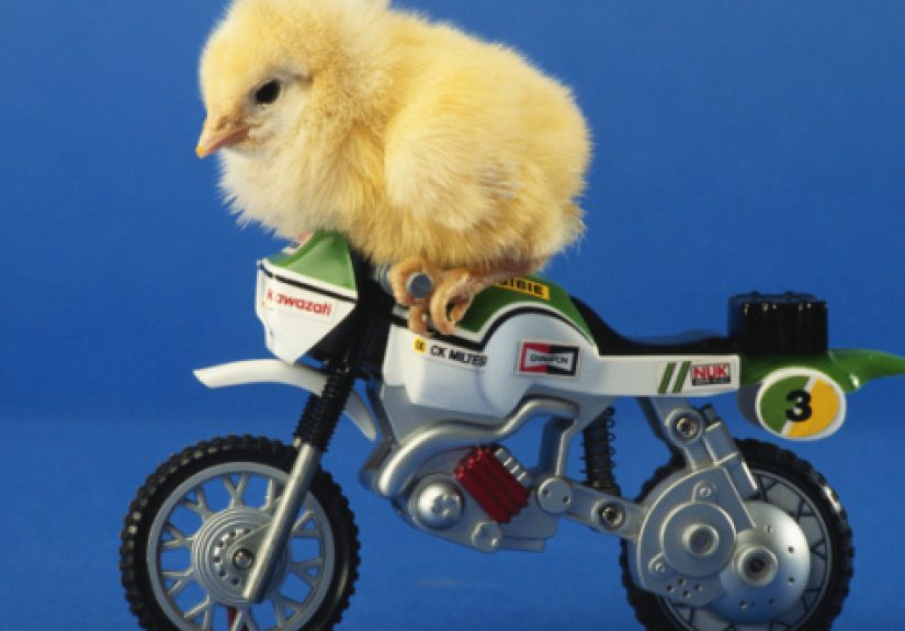 10 Movie Motorcycle Stunts That Are Impossible in Real Life