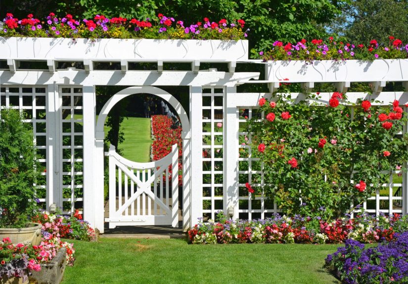 19 Beautiful Backyard Building Projects