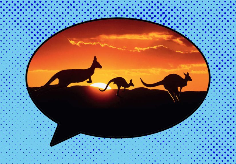 6 Fascinating Marsupial Facts You Probably Didn’t Know