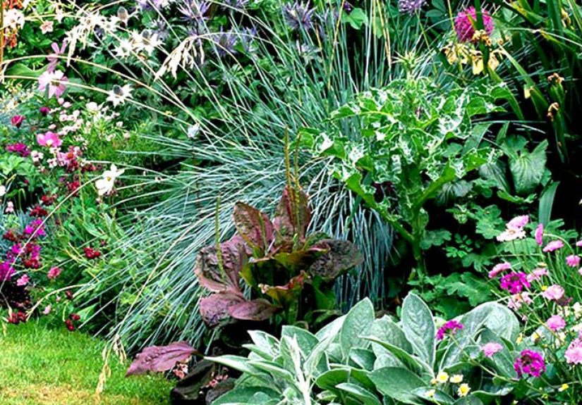 Garden Plans