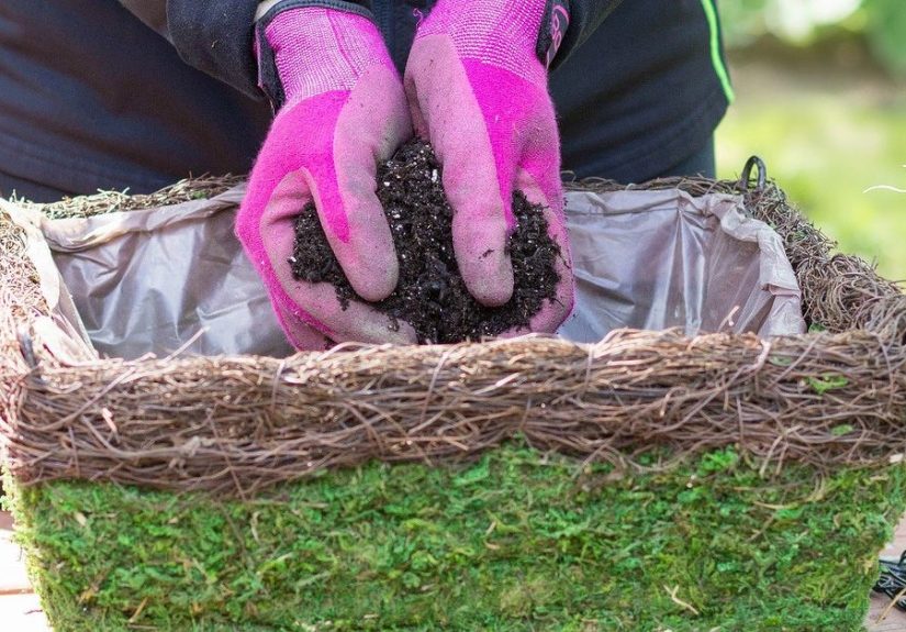 Hanging Basket How-To (The Easy Way!)