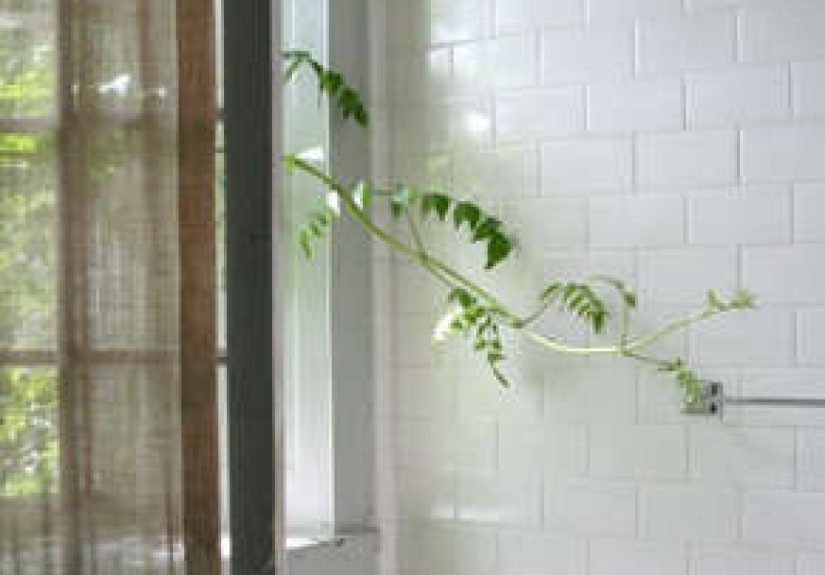 Hardware: Café Curtain Rods