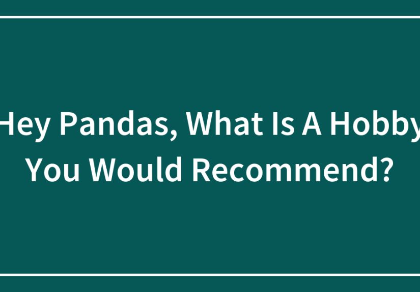 Hey Pandas, What Is A Hobby You Would Recommend?