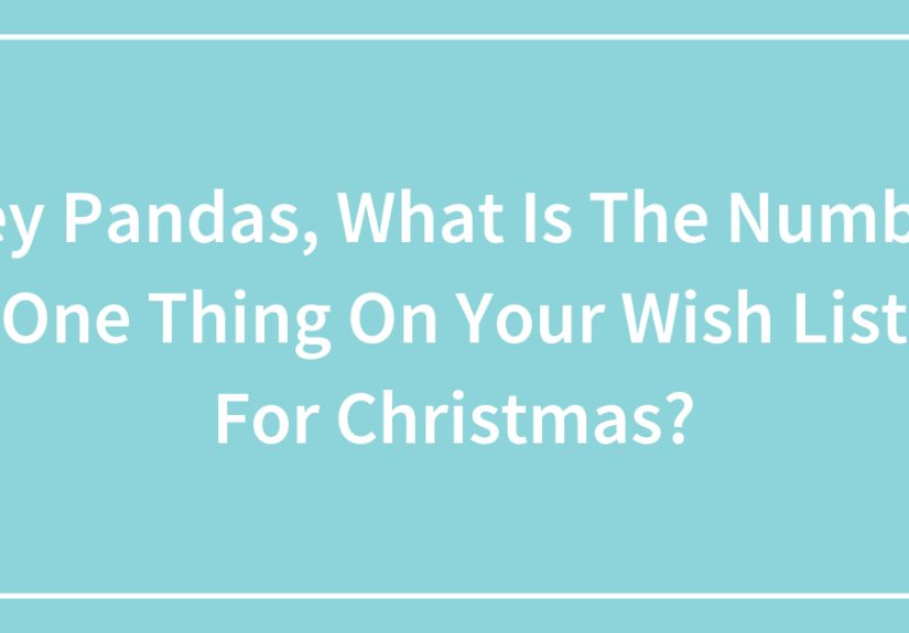 Hey Pandas, What Is The Number One Thing On Your Wish List For Christmas? (Closed)
