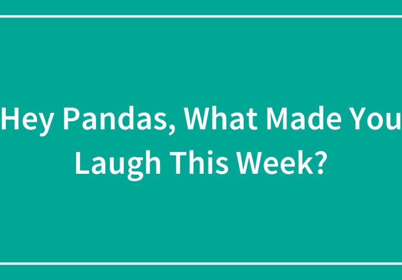 Hey Pandas, What Made You Laugh This Week? (Closed)