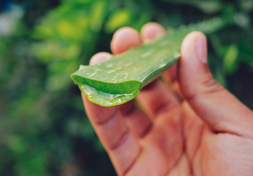 How to Get Rid of Hives: Natural Remedies and Medications