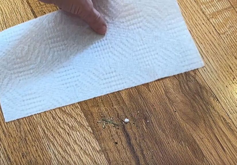 How to Keep Your Floors Sparkling: Must-Try Floor Cleaning Hacks