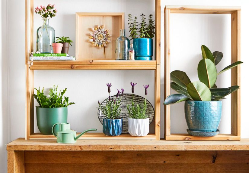 How to Paint Terra-cotta Pots to Decorate Your Home