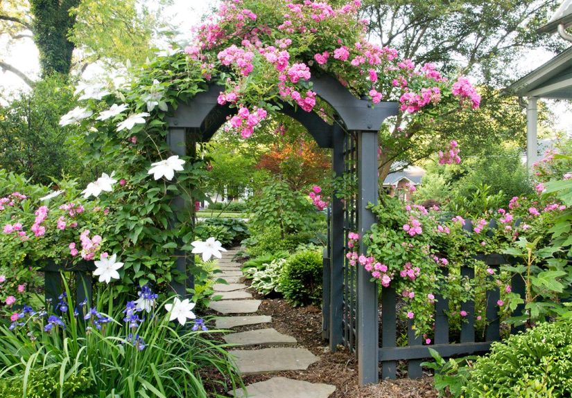 How to Start a Garden in 10 Simple Steps
