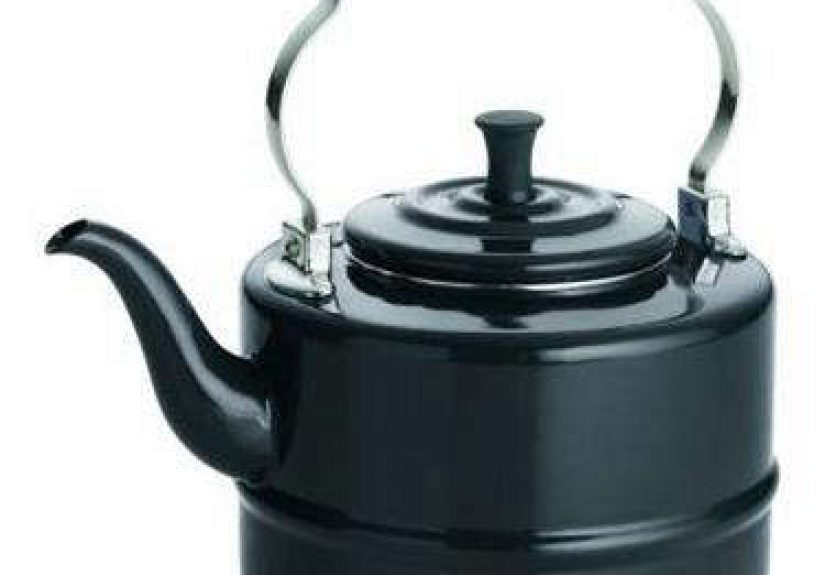 Kitchen: Bonjour Tea Kettle