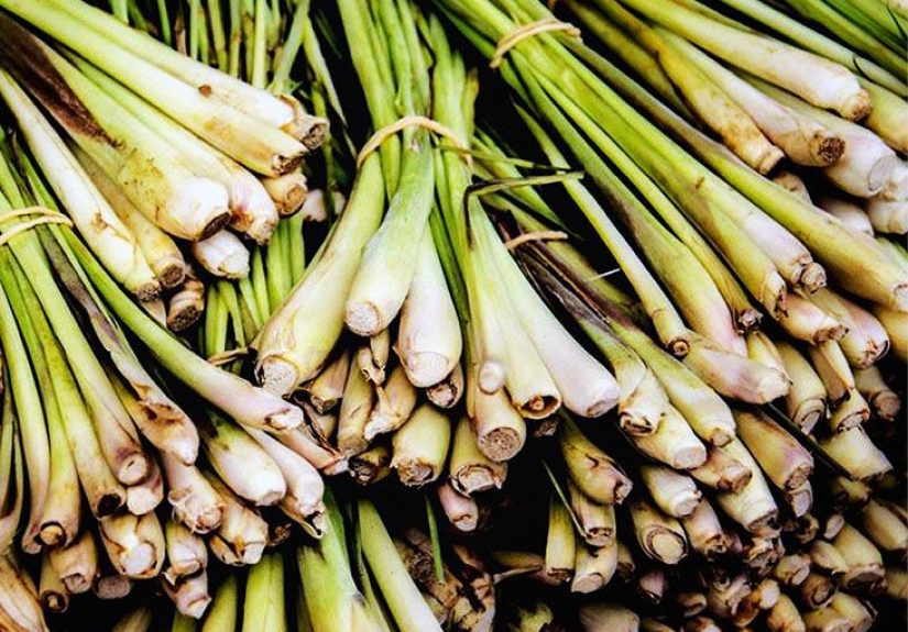 Lemongrass essential oil: Benefits, use, and side effects