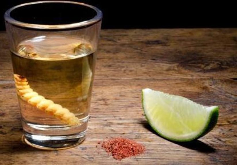 Mezcal Brands