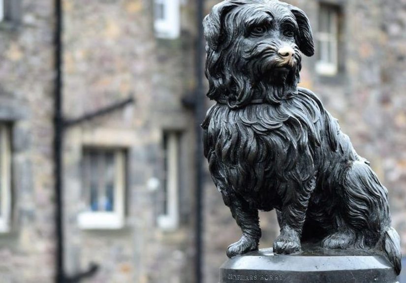 Moving Stories Behind Statues Dedicated To Animals