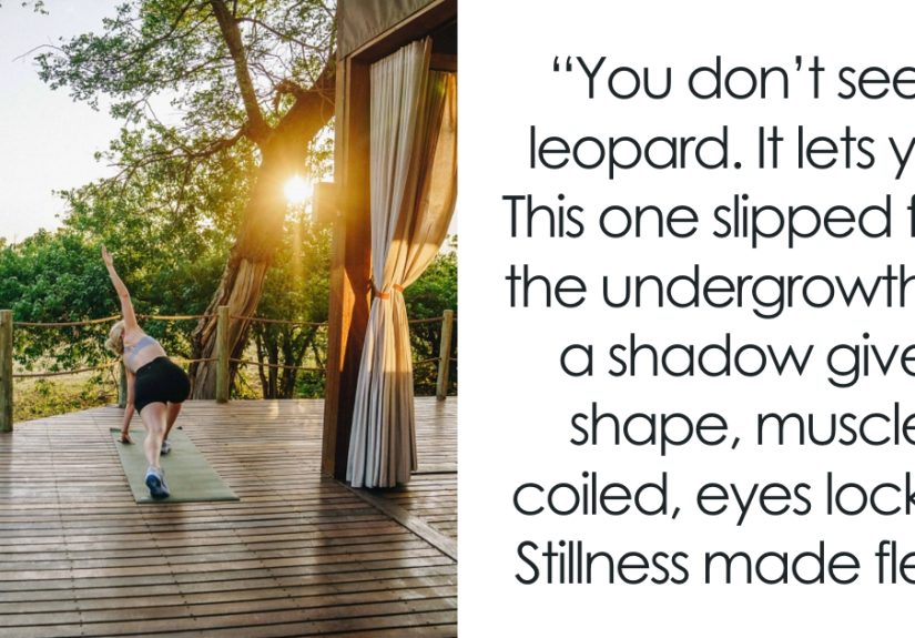 My 33 Reasons The Okavango Delta Might Be The Most Beautiful Place On Earth