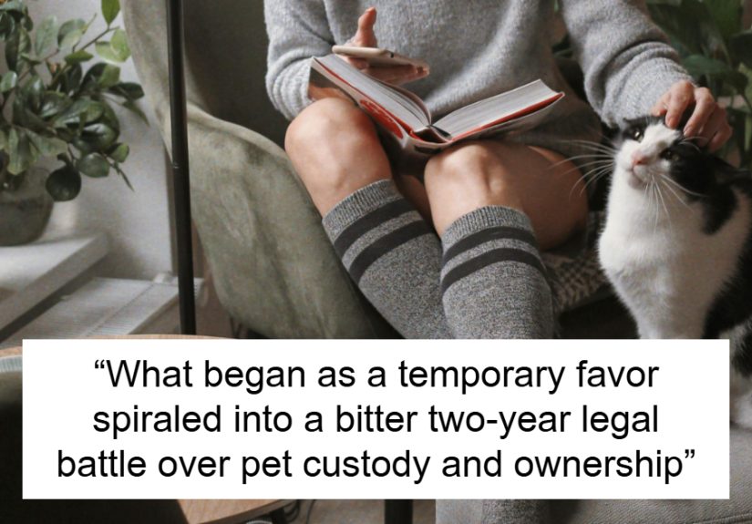 New York Woman Leaves Cat With Friend For A Month, Ends Up Needing Court Ruling To Get Her Back