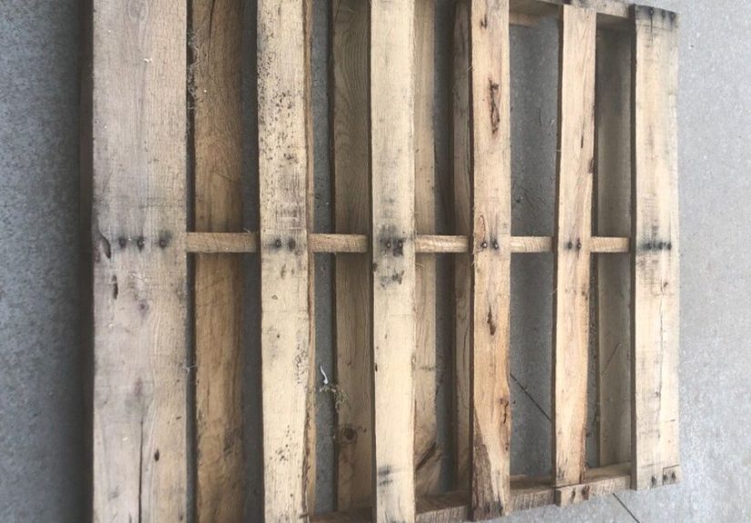 Plant Propagation Station From Pallet Boards