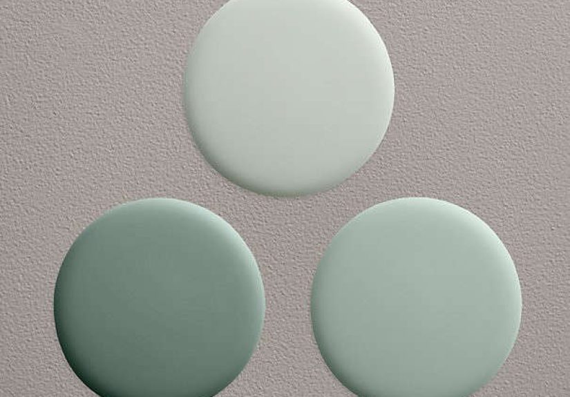 Silver Sage Paint Collection