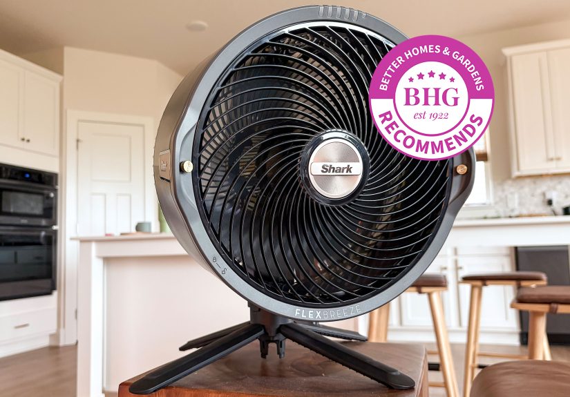 The 5 Best Fans of 2025, Tested by BHG