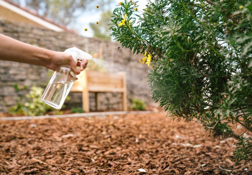 Wait, Why the Heck Are People Spritzing Vinegar Around Their Yard?