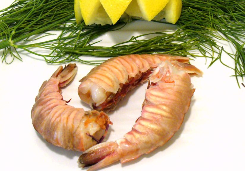 What Are Rock Shrimp?