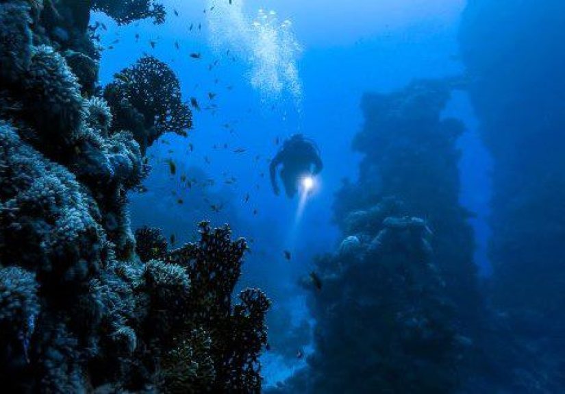 10 Deep Sea Diving Accidents That Will Shiver Your Timbers