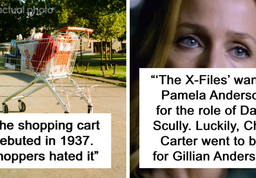 10 “Today I Learned” Facts To Make You More Interesting At Parties
