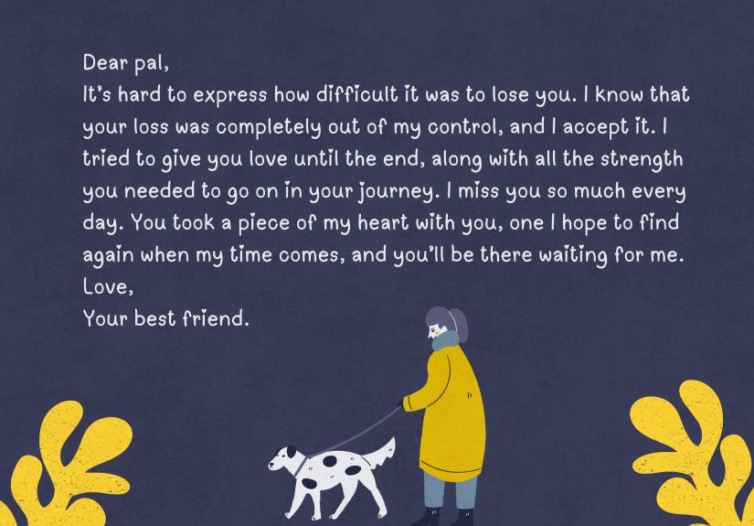110 Messages for My Dog Who Passed Away (& Expert Tips)