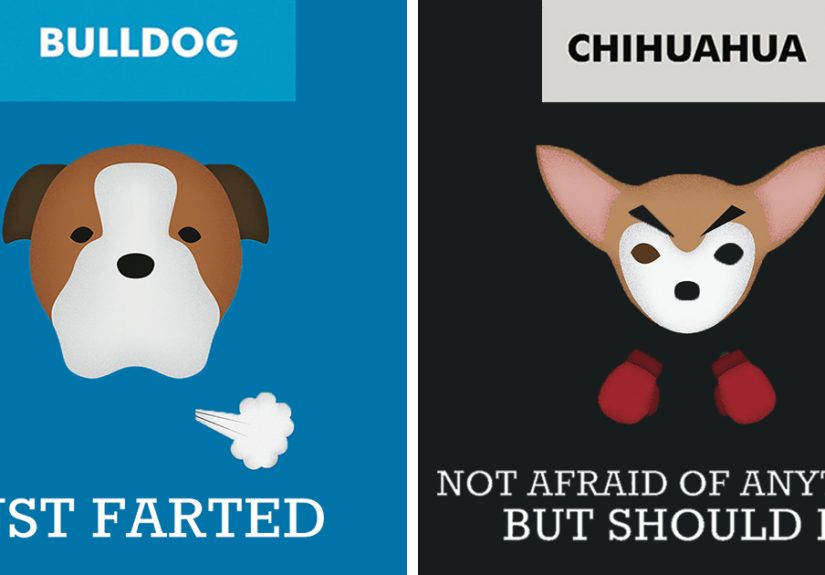12 Honest Dog Breed Slogans That Make Fun Of Stereotypes