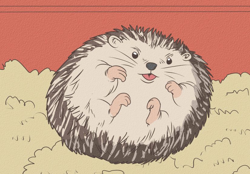 4 Ways to Bond With Your Hedgehog
