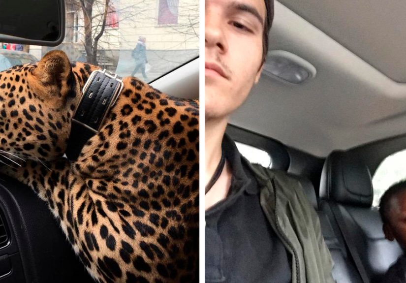 45 Photos From Taxi And Uber Rides That People Just Had To Share