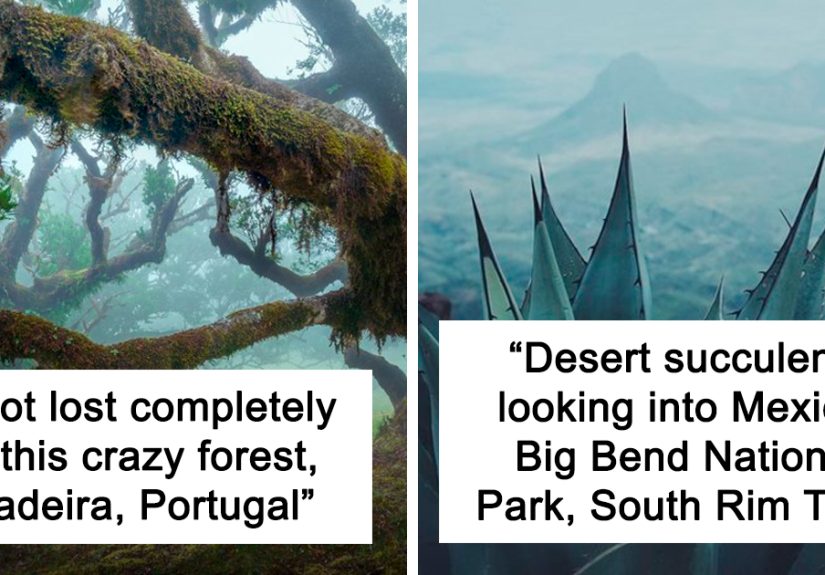 50 Photos Of Mother Earth From This Online Page That Prove Nature Is Lit