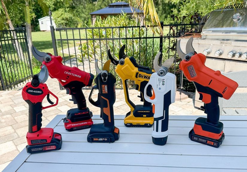 6 Best Electric Pruning Shears, Tested and Reviewed [2025]