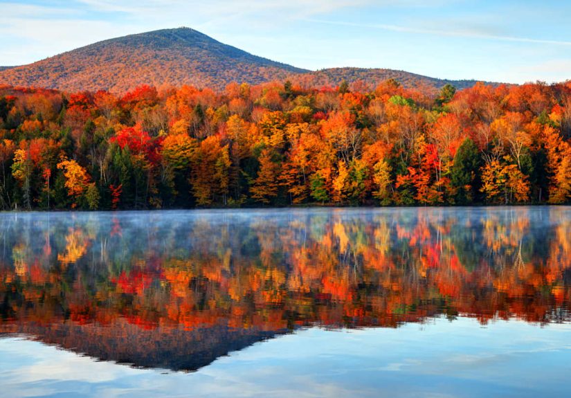 A Brief History of Leaf-Peeping