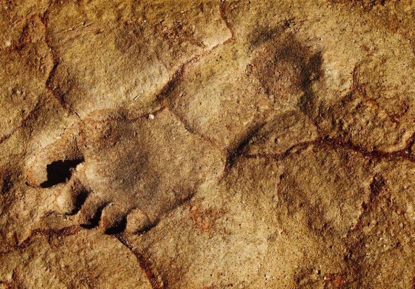 Archaeologists Find 300,000-Year-Old Human Footprints