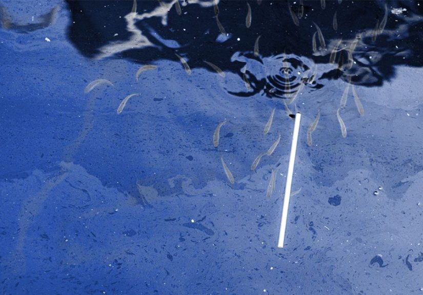 Are microplastics responsible for the rise in male infertility?