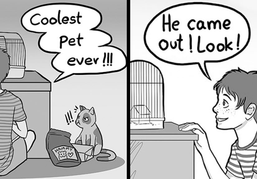 Artist Who Makes People Cry With Her Animal Comics Just Released A New One About A Neglected Hamster