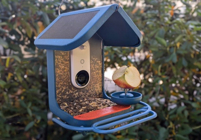 Bird Buddy Review: Birding Made Easy