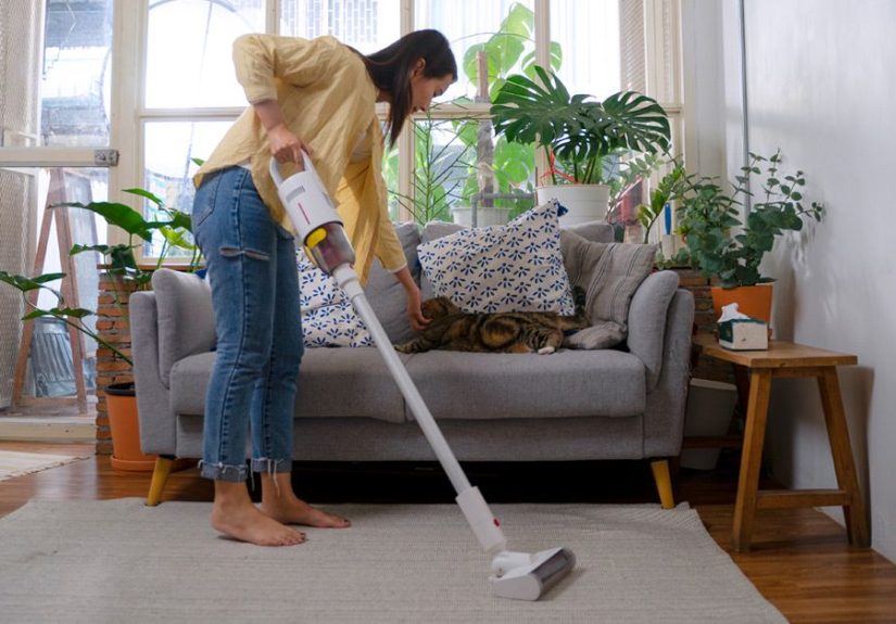 Common Indoor Allergies: Triggers, Treatments, and More