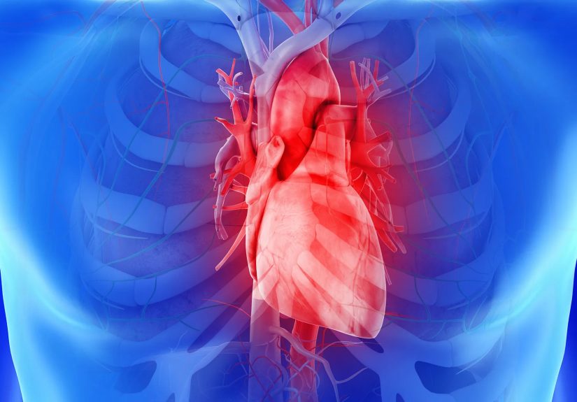 Food That Helps to Protect Your Heart
